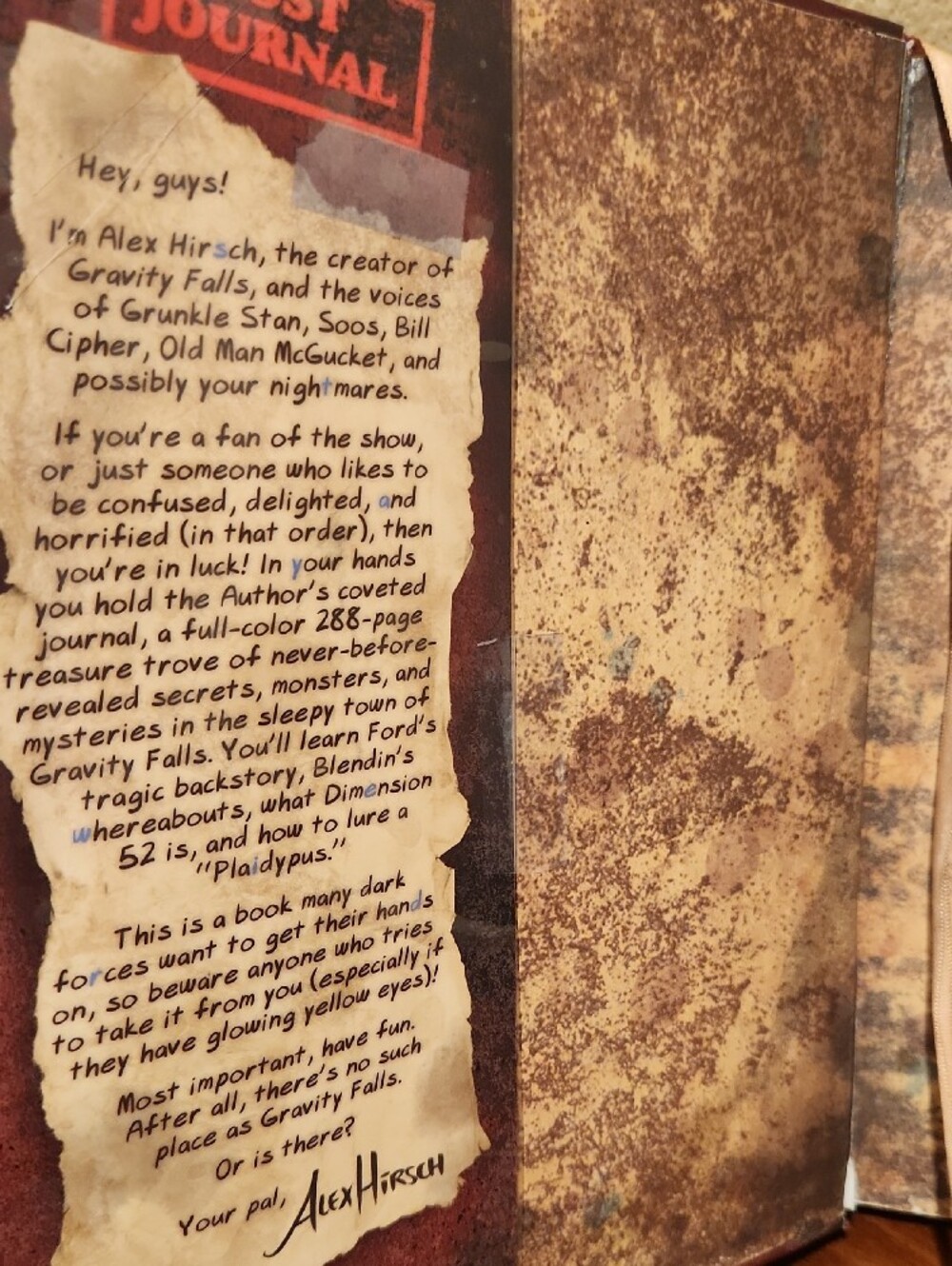 Gravity Falls Books: Journal 3 & Dipper's Guide to Mystery - Picture 9 of 11
